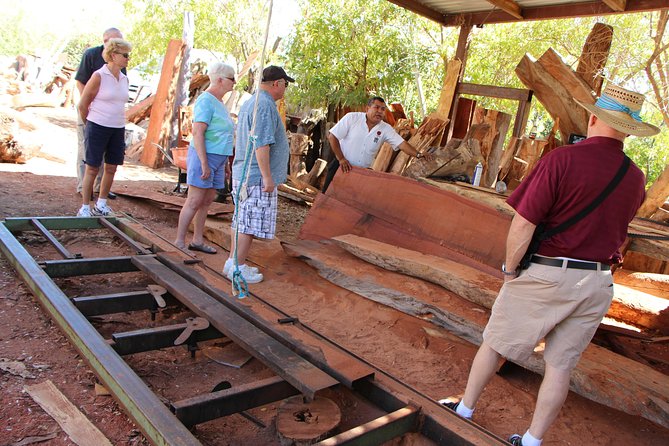 Los Cabos Hideaway Villages Cultural Tour Including Lunch  - Cabo San Lucas - Natural Beauty