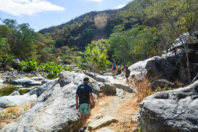 Los Cabos: Hiking at the Fox Canyon - Local Gastronomy and Overall Experience
