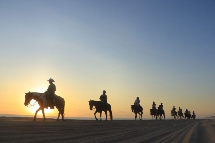 Los Cabos: Horseback Ride on Pacific Beach and Desert - Activity Details