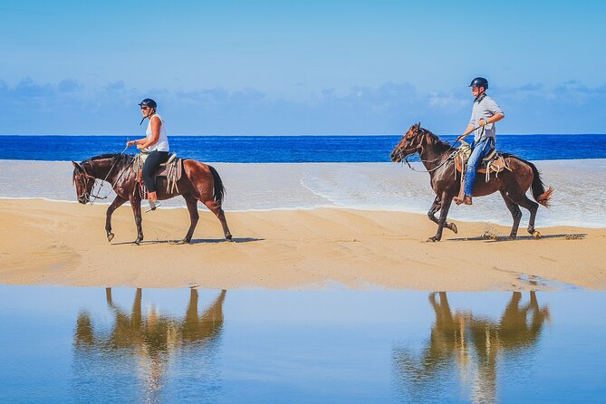 Los Cabos Horseback Riding - Meeting and Pickup Details