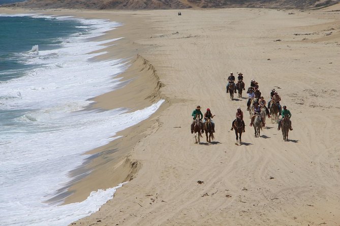 Los Cabos Horseback Riding - Additional Information