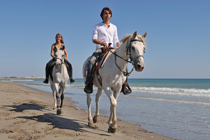 Los Cabos Horseback Riding - Positive Experiences
