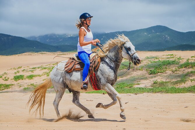 Los Cabos Horseback Riding - Negative Experiences