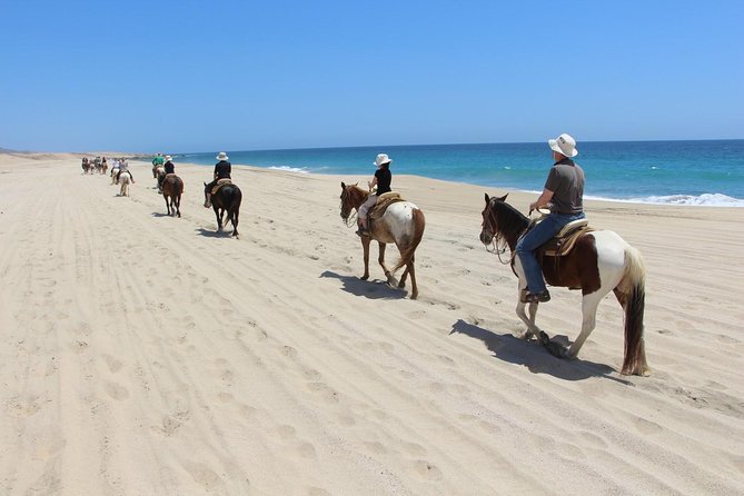 Los Cabos Horseback Riding - Recommendations and Dissatisfaction With the Company