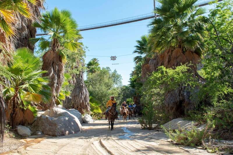 Los Cabos: Horseback Riding in Canyon a Mexican Experience - The Experience in Review  