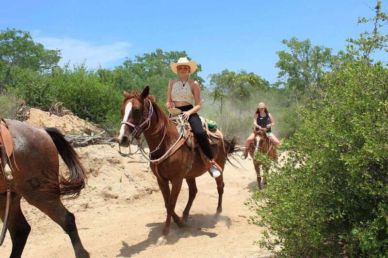 Los Cabos: Horseback Riding in Canyon a Mexican Experience - Who Is This Tour Best For?  