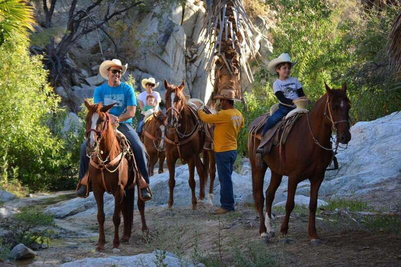 Los Cabos: Horseback Riding in Canyon a Mexican Experience - Final Thoughts  