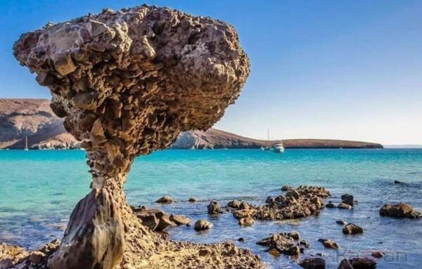 Los Cabos: Incredible Private Tour to Balandra - Visit Iconic Todos Santos