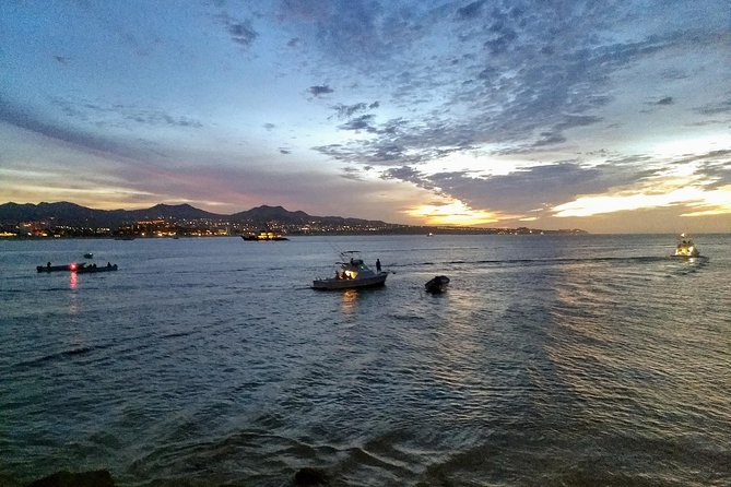 Los Cabos International Airport Round-Trip Private Shuttle  - Cabo San Lucas - Overview of Transportation Options