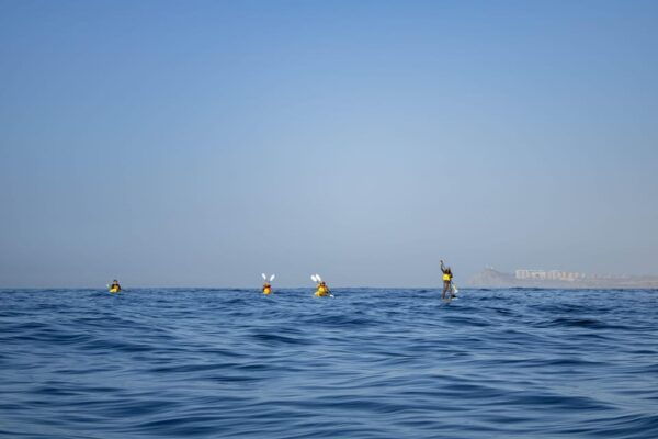 Los Cabos: Kayak & Snorkel to Chileno Bay + Transport - Kayaking and Snorkeling Activities