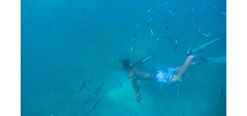 Los Cabos: Land's End Kayak and Snorkel Tour - The Experience: What Sets It Apart