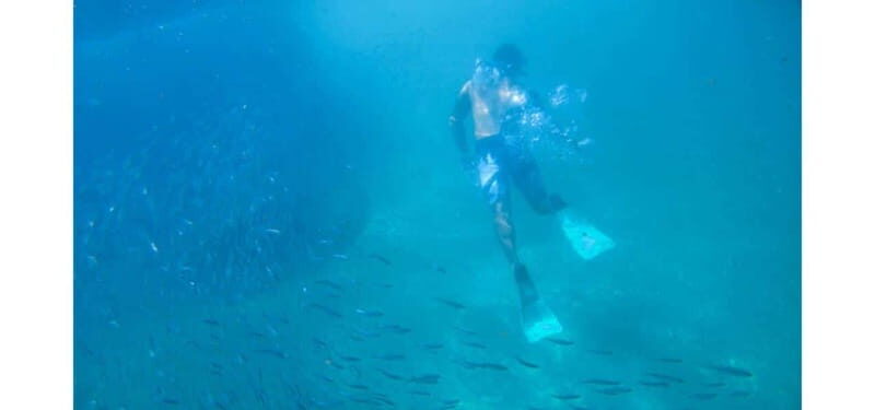 Los Cabos: Land's End Kayak and Snorkel Tour - Final Thoughts