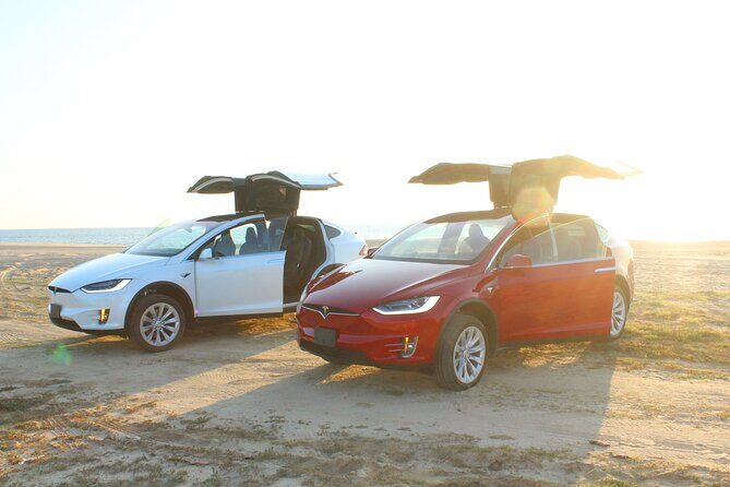 Los Cabos Luxury Private Tesla Transfer from Airport to Puerto Los Cabos Area - Practical considerations and tips