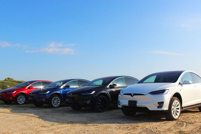 Los Cabos Luxury Private Tesla Transfer from Airport to Puerto Los Cabos Area - Final thoughts: who is this transfer best suited for?