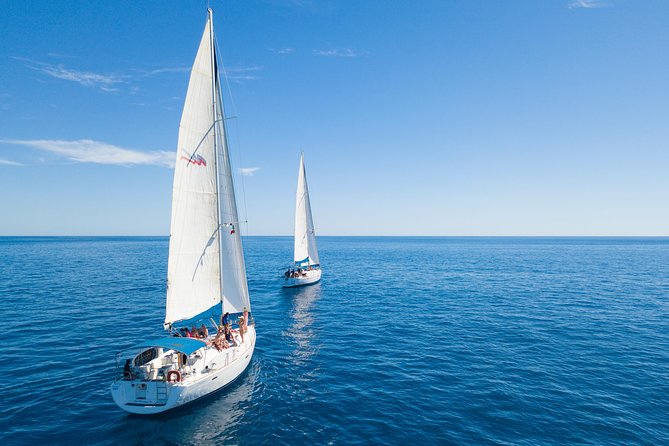Los Cabos Luxury Sailing, Snorkel and Lunch Cruise - Negative Experience
