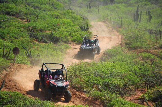 Los Cabos: Luxury UTV Viper Trail - Desert-Sea Contrast