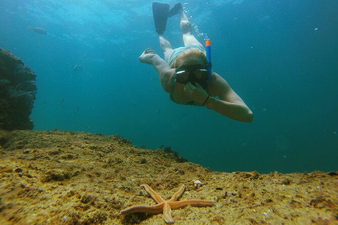 Los Cabos Luxury Yacht Charter Private Tour - Reviews and Ratings of the Tour