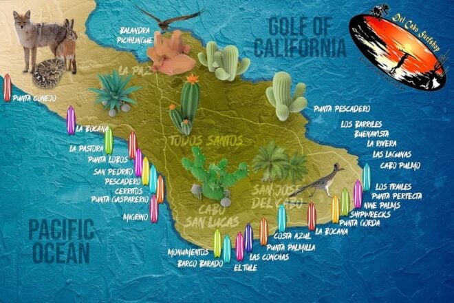 Los Cabos Mexico: Surfboard Rentals - Advice for Renters