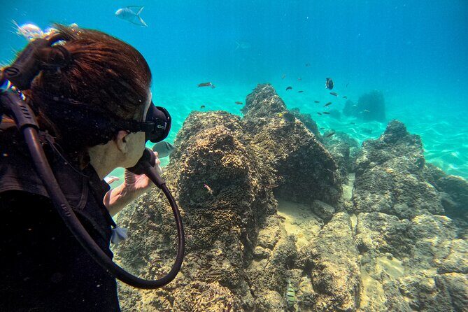 Los Cabos Open Water Diver Course - The Diving Spots: Pelican Rock and North Wall