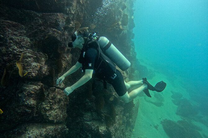 Los Cabos Open Water Diver Course - Who Will Love This Course?