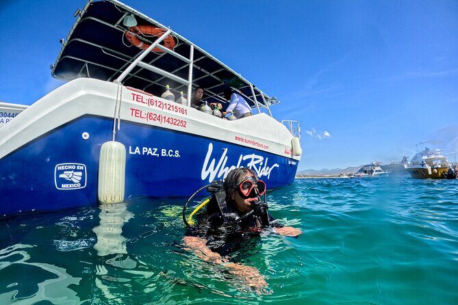 Los Cabos Open Water Diver Course - Frequently Asked Questions