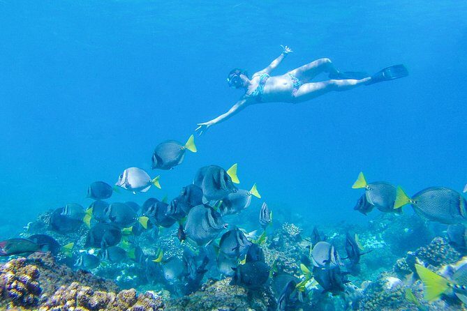 Los Cabos Power snorkel Adventure, Kayaking and Stand-Up Paddle - FAQs