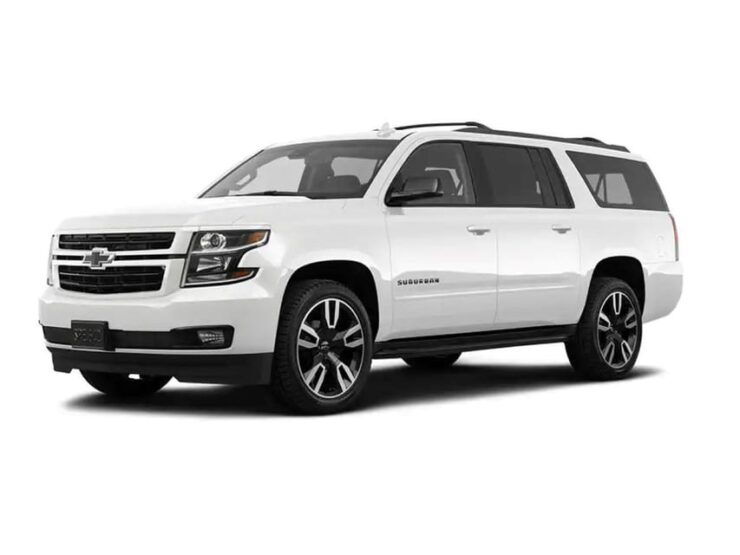 Los Cabos: Premium Airport Transfers - Service Overview