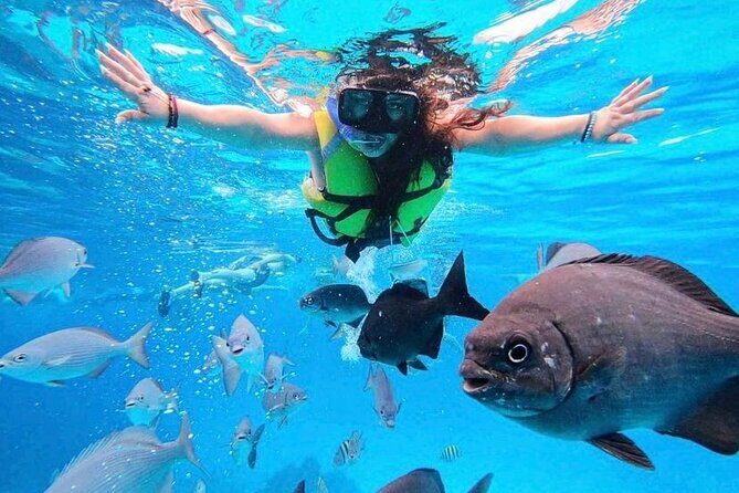 Los Cabos Private Beach Hopping - Final Thoughts