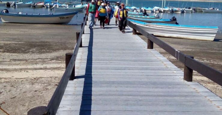 Los Cabos: Private Tour With Roundtrip Transfers - Transportation Details