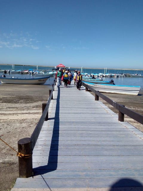 Los Cabos: Private Tour With Roundtrip Transfers - Highlights of the Tour