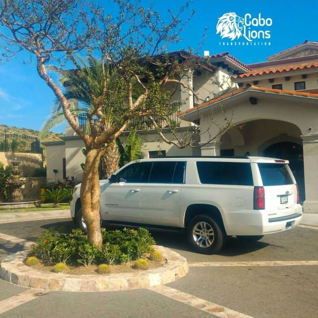 Los Cabos: Private Transportation With Driver - Vehicle and Amenities