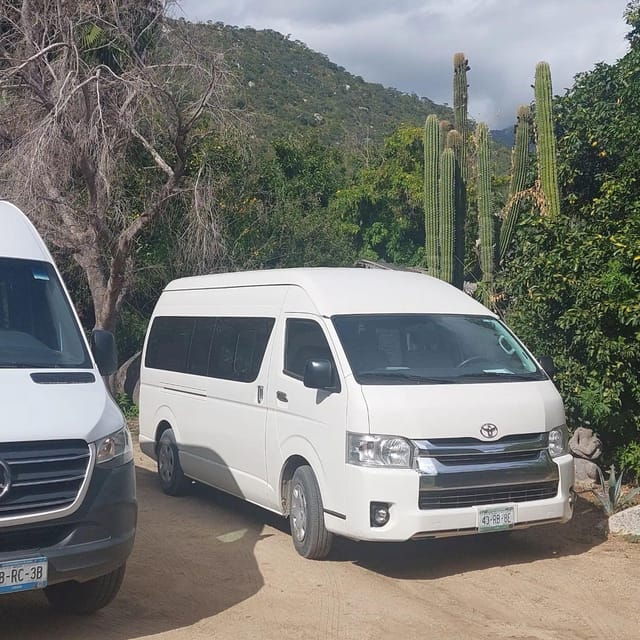 Los Cabos: Private Transportation With Driver - Booking and Pricing