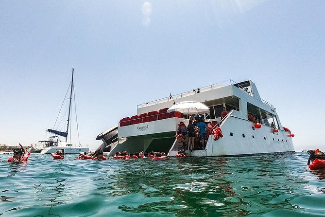 Los Cabos Reef Snorkeling Cruise - Overview and Details