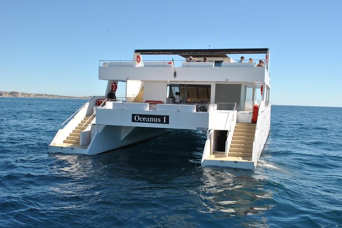 Los Cabos Reef Snorkeling Cruise - Boarding the Catamaran