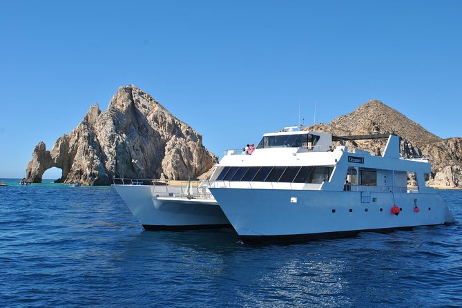 Los Cabos Reef Snorkeling Cruise - Snorkeling at Chileno Bay