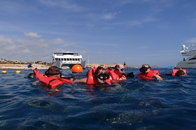 Los Cabos Reef Snorkeling Cruise - Customer Reviews