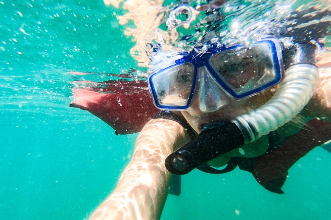 Los Cabos Reef Snorkeling Cruise - Positive and Mediocre Experiences