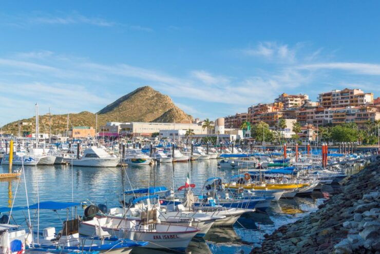 Los Cabos: Reef Snorkeling Cruise With Lunch and Open Bar - Booking Information