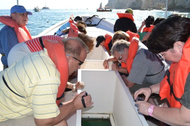 Los Cabos: San Jose and San Lucas Trip With Lunch - Activity Details