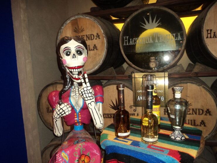 Los Cabos: San Jose and San Lucas Trip With Lunch - Experience Highlights