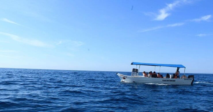 Los Cabos: Scenic Boat Ride Experience - Booking and Flexibility