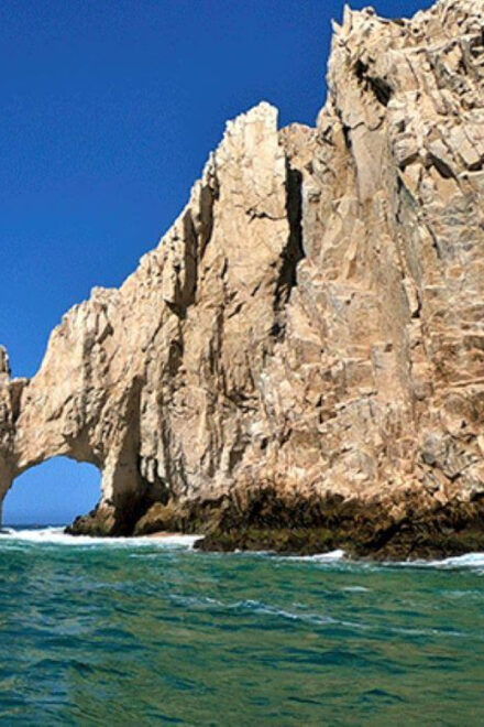 Los Cabos: Scenic Boat Ride Experience - Expert Guidance and Highlights