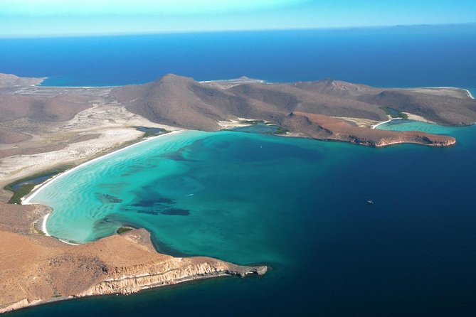 Los Cabos Sea of Cortez Sightseeing Cruise and Snorkeling Tour  - Cabo San Lucas - Cancellation Policy and Booking Information