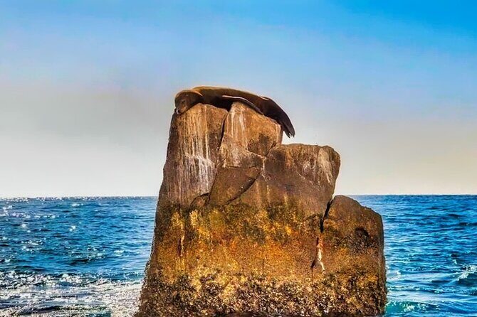 Los Cabos Sightseeing and Cultural Day Trip with Boat Ride - Who Should Consider This Tour?