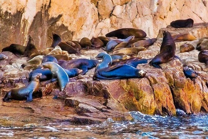 Los Cabos Sightseeing and Cultural Day Trip with Boat Ride - The Sum Up