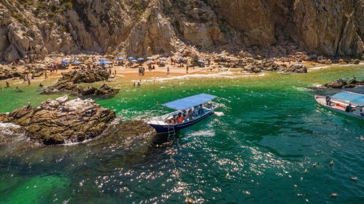 Los Cabos: Snorkel and Marine Life - Good To Know