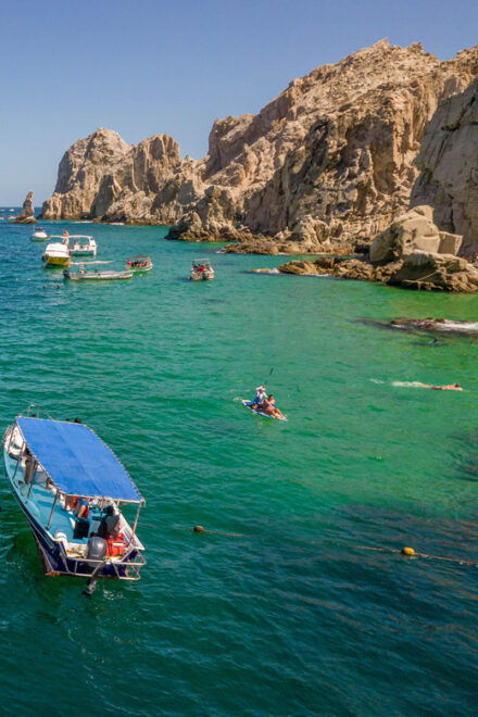 Los Cabos: Snorkel and Marine Life - Aquatic Ecosystems