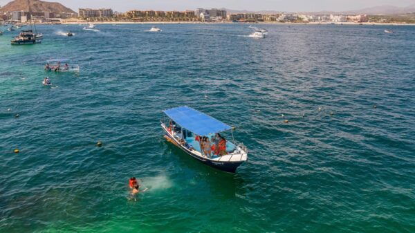 Los Cabos: Snorkel and Marine Life - Photography and Memories
