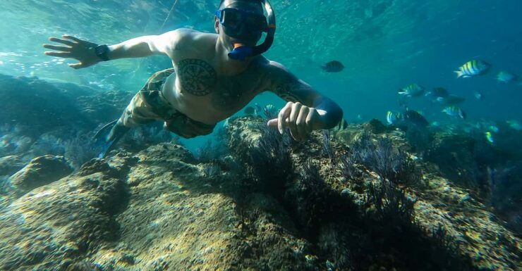 Los Cabos: Snorkel & Beach Day at Chileno + Transportation - Itinerary Details