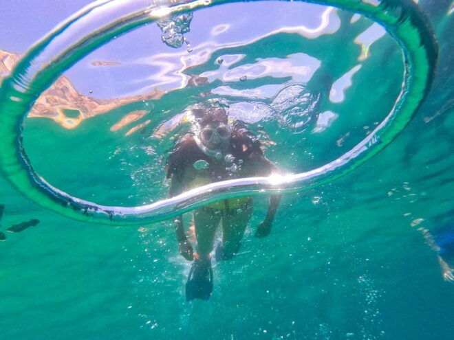 Los Cabos: Snorkel & Beach Day at Chileno + Transportation - Inclusions